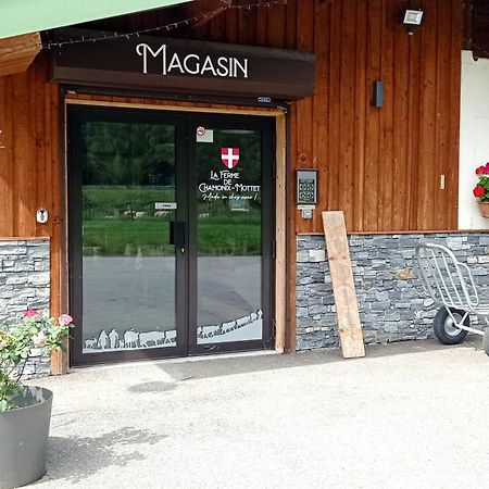 *Spacieux T3 Campagne Proche Lac* Magland Luaran gambar